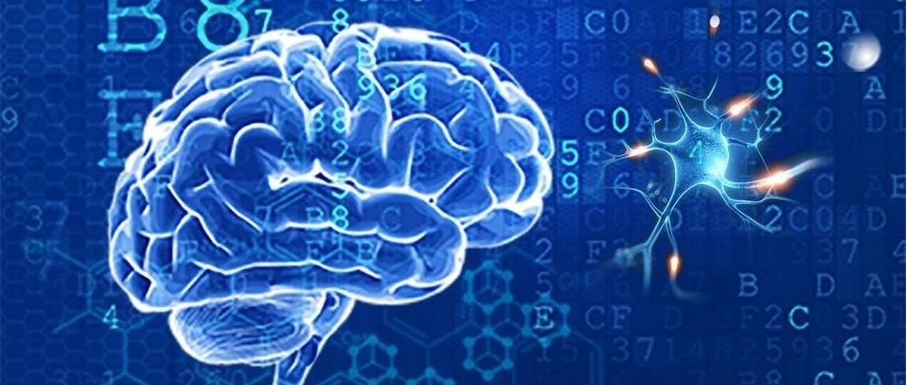 88天見(jiàn)證| AI賦能爆破1000萬(wàn)，醫真AI+生態(tài)初露鋒芒